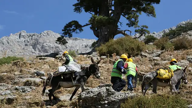Torosların dağ köyündeki su çalışması için katır ve eşekler kiralandı