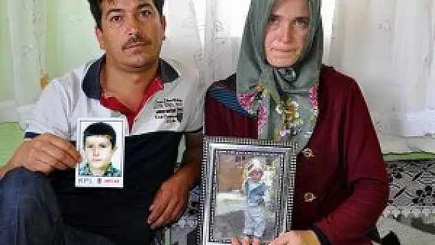 Bir fotoğraf bile umutlarını yeşertti