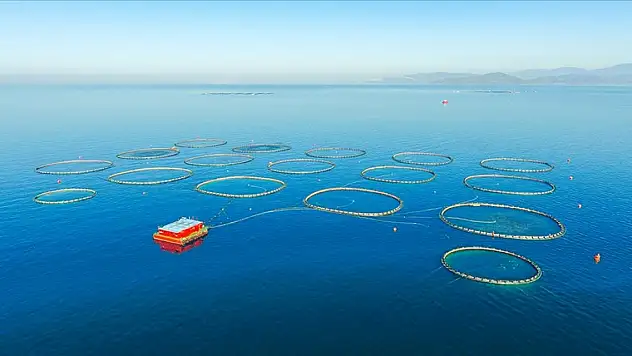 Tarım, ormancılık ve balıkçılık sektörünün varlıkları 3 katına çıktı