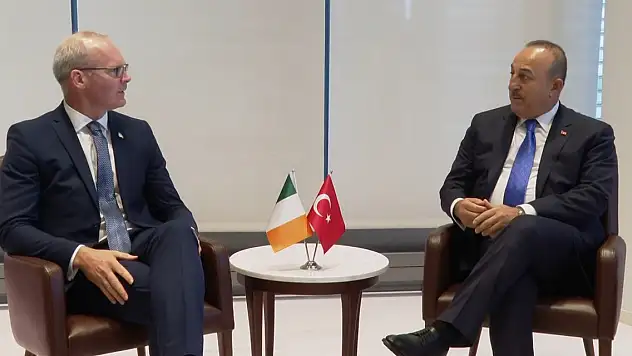 Bakan Çavuşoğlu, İrlanda Dışişleri Bakanı Coveney ile görüştü