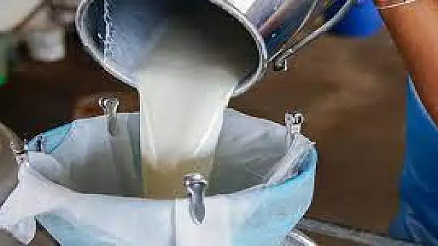 Çiğ süt desteğine ilişkin başvuru esasları yeniden düzenlendi