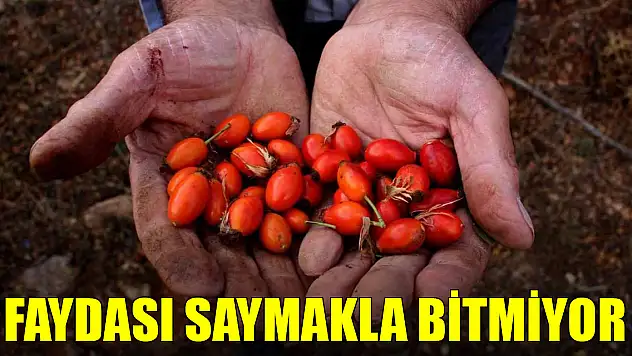 Kış aylarının vazgeçilmezi, bağışıklık sistemini güçlendirip cildi yeniliyor