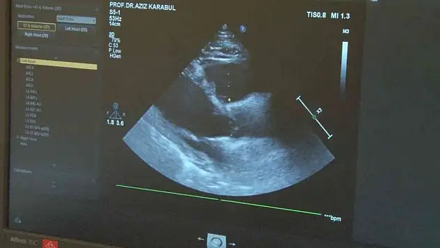 Uzmanlar açıkladı, önümüzdeki yüzyıl içerisinde beklenen pandemi