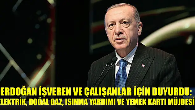 Erdoğan işveren ve çalışanlar için duyurdu: Elektrik, doğal gaz, ısınma yardımı ve yemek kartı müjdesi