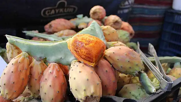 Kaktüs inciri, tezgahlarının ilgi odağı oldu