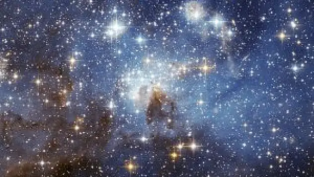 100 milyon dolara 'yaşam' aranacak!