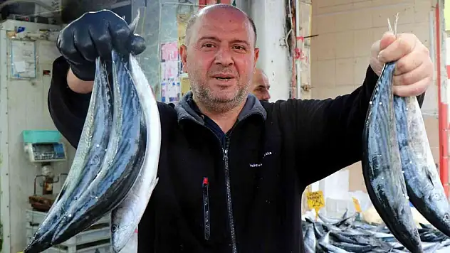 Karadeniz'de balık patlaması