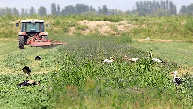 Karatay'da arsa satılacak