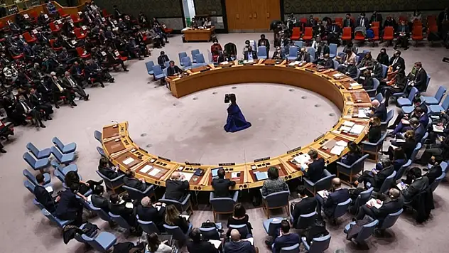 Rusya, bazı bölgelerinin ilhakını kınayan BMGK taslağını veto etti