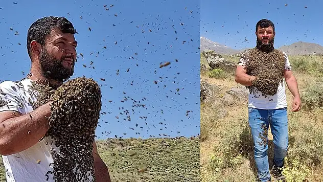 Görenler şaşkın! Binlerce arıyı çıplak vücudunda taşıyor