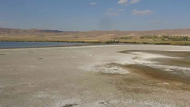 Kuş cenneti Erçek Gölü'nde korkutan su kaybı