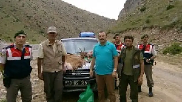 Kaçak avlanmaya ceza