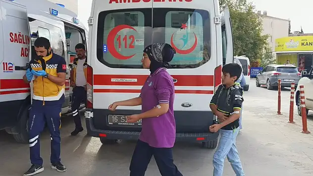 Eğitime 'arı' engeli