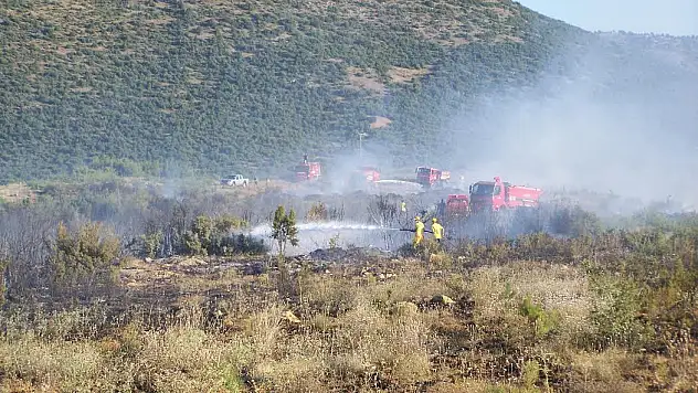 Beyşehir'deki yangın söndürüldü