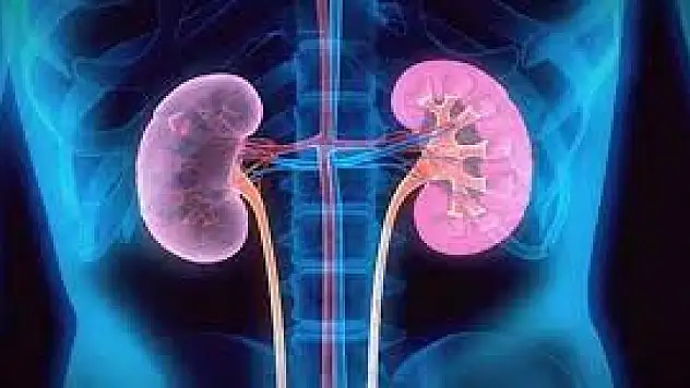 Taş ve kum dökmenin 9 belirtisi