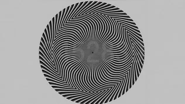 Fotoğrafta ne görüyorsunuz? Gördüğünüz sayıya göre göz sağlığınıza karar verin