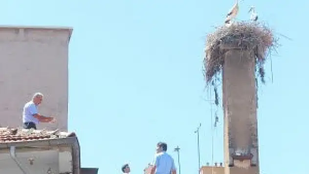 Leylek yavrusu ayağına dolanan ipten kurtarıldı