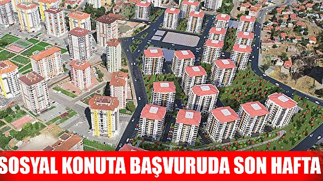 Sosyal konuta başvuruda son hafta