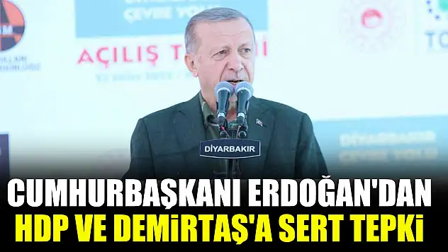Cumhurbaşkanı Erdoğan'dan HDP ve Demirtaş'a sert tepki