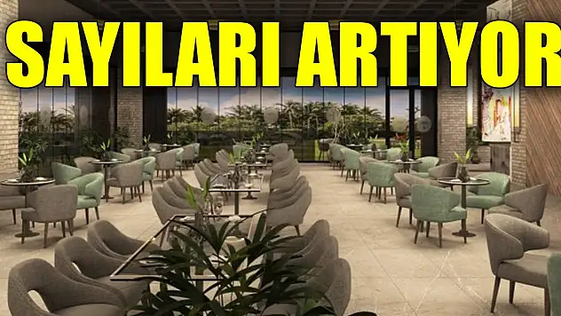 Konya'da Kafe Karatay'ların sayısı artıyor