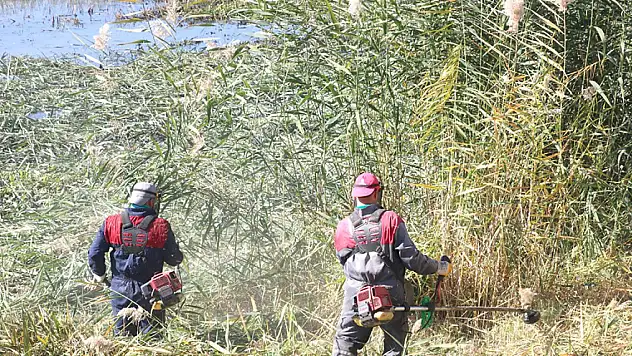 Beyşehir Gölü'nde temizlik yapıldı