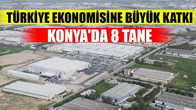 Türkiye ekonomisine büyük katkı sağlıyorlar! Konya'da 8 tane