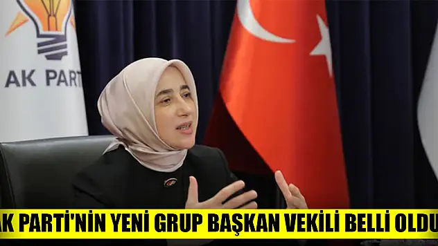 AK Parti'nin yeni grup başkan vekili belli oldu