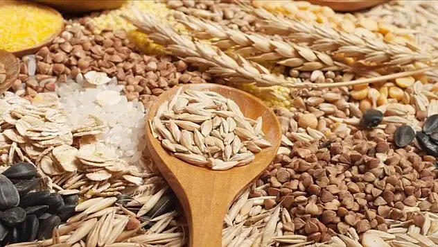 Türkiye'nin gıda ihracatının yüzde 46'sını hububat bakliyat yağlı tohumlar sektörü yaptı