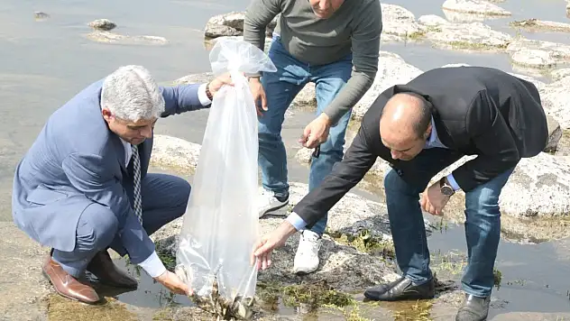 Göllerdeki yavru balıkların sayısı 84 milyonu geçecek