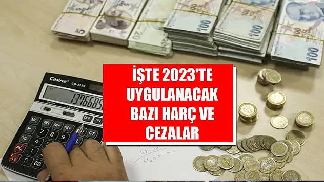 İşte 2023'te uygulanacak bazı harç ve cezalar! Kırmızı ışıkta geçmenin bedeli...