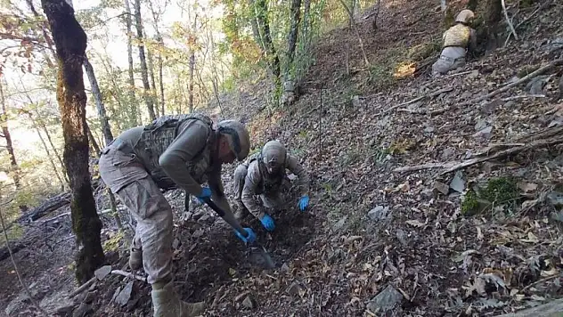 Son Dakika! Bin 216 personelin katılımıyla 3 ilde operasyon