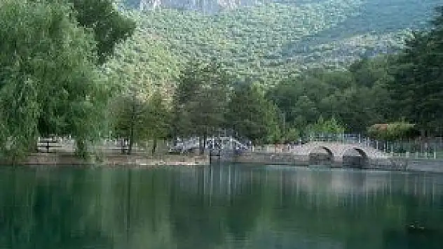 Seydişehir'de Kuğulu Festivali