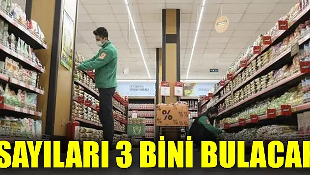 En yetkili ağızdan açıklama: Sayıları 3 bini bulacak