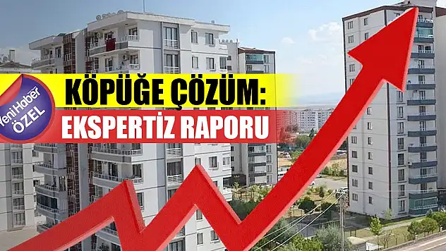 Köpüğe çözüm: Ekspertiz raporu