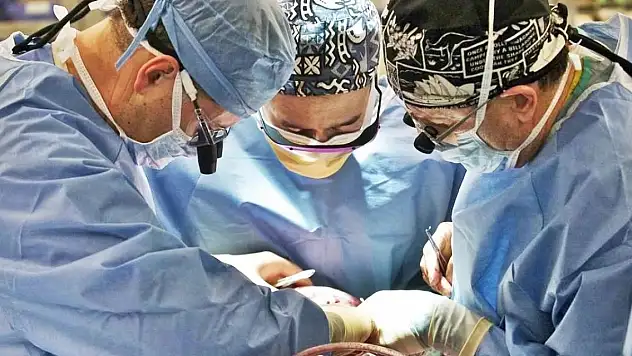 Türkiye'de böbrek naklinde başarı oranı yüzde 95