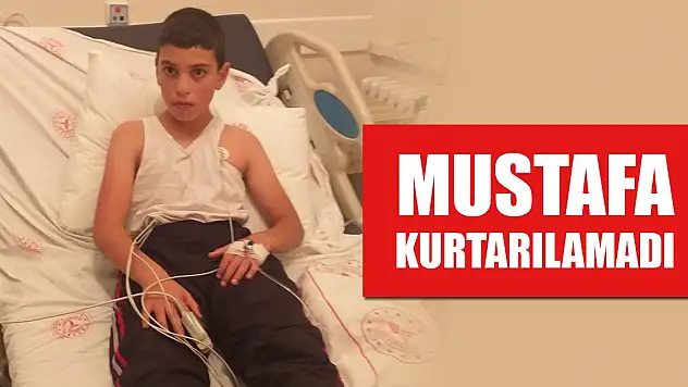Son Dakika! Sokak köpeklerinin ısırması sonucu kuduz tanısıyla tedavi gören 10 yaşındaki Mustafa kurtarılamadı