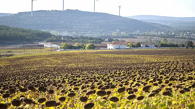 '1000 Çiftçi 1000 Bereket' iklim dostu üretimi teşvik ediyor