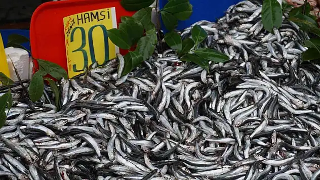 Sezona 80 liradan başlamıştı, hamsinin fiyatında düşüş