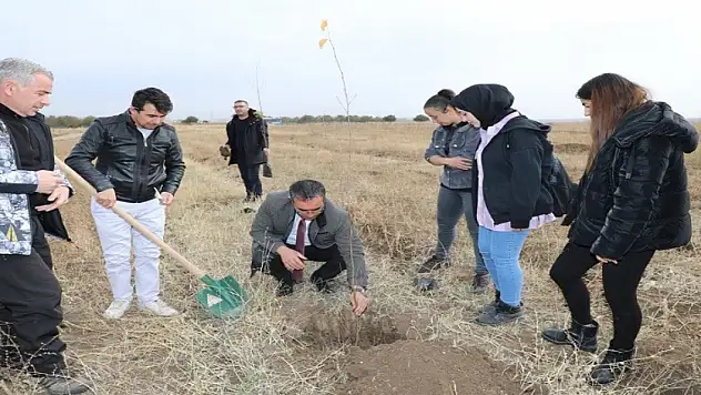 Ağrı'da 41 maden şehidi anısına fidan dikildi