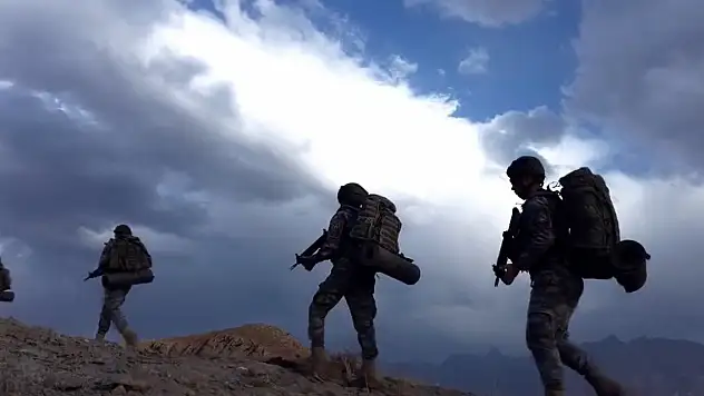 MSB'den 'Her Dağın Zirvesi Mehmetçik' paylaşımı