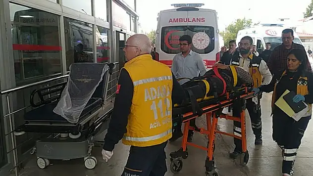 Adana'daki trafik kazasında 3 Orman İşletme Müdürlüğü personeli yaralandı