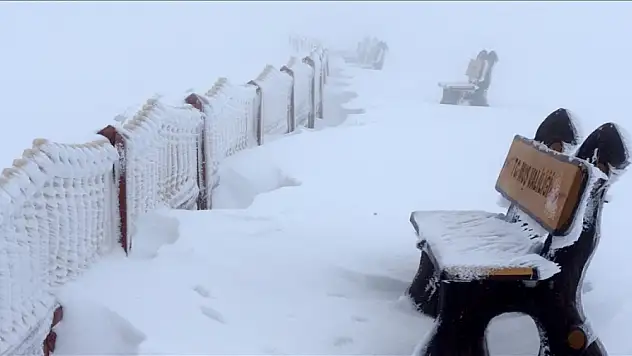 Kış doğudan geliyor, Van ile Muş'ta kar ve sis etkili oldu
