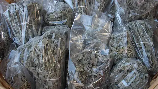 Bu karışım gripten koruyor