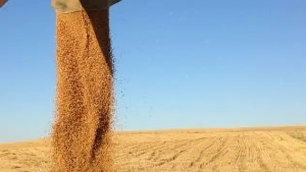 Çiftçinin yüzü gülüyor