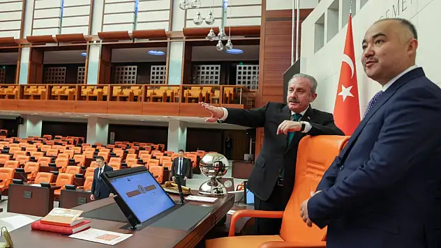 Şentop: Dost ve kardeş ülkeleri FETÖ'ye karşı uyarmaya devam ediyoruz