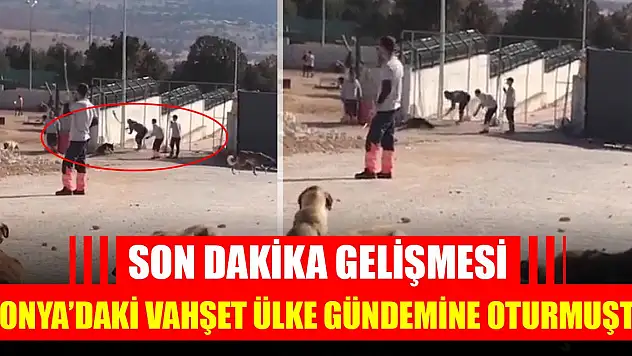 Konya'daki vahşet ülke gündemine oturmuştu! Son dakika gelişmesi