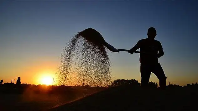 Bakanlık duyurdu: 84 milyon liralık ödeme hesaplara yatıyor