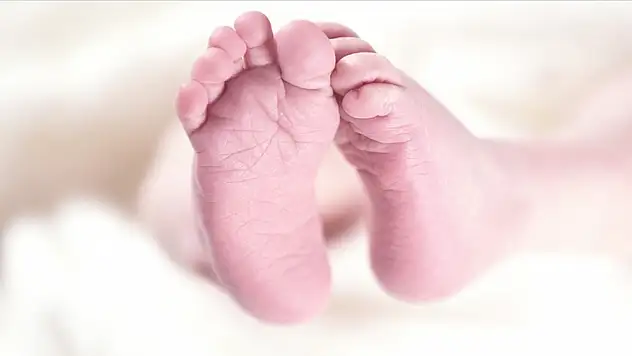 e-Doğum projesi ile 162 bin bebeğin nüfus kaydı tescillendi