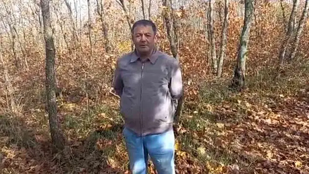 Ormanda odun kesen muhtara domuz saldırdı