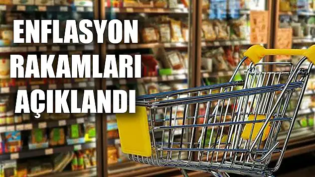Kasım ayı enflasyon rakamları açıklandı